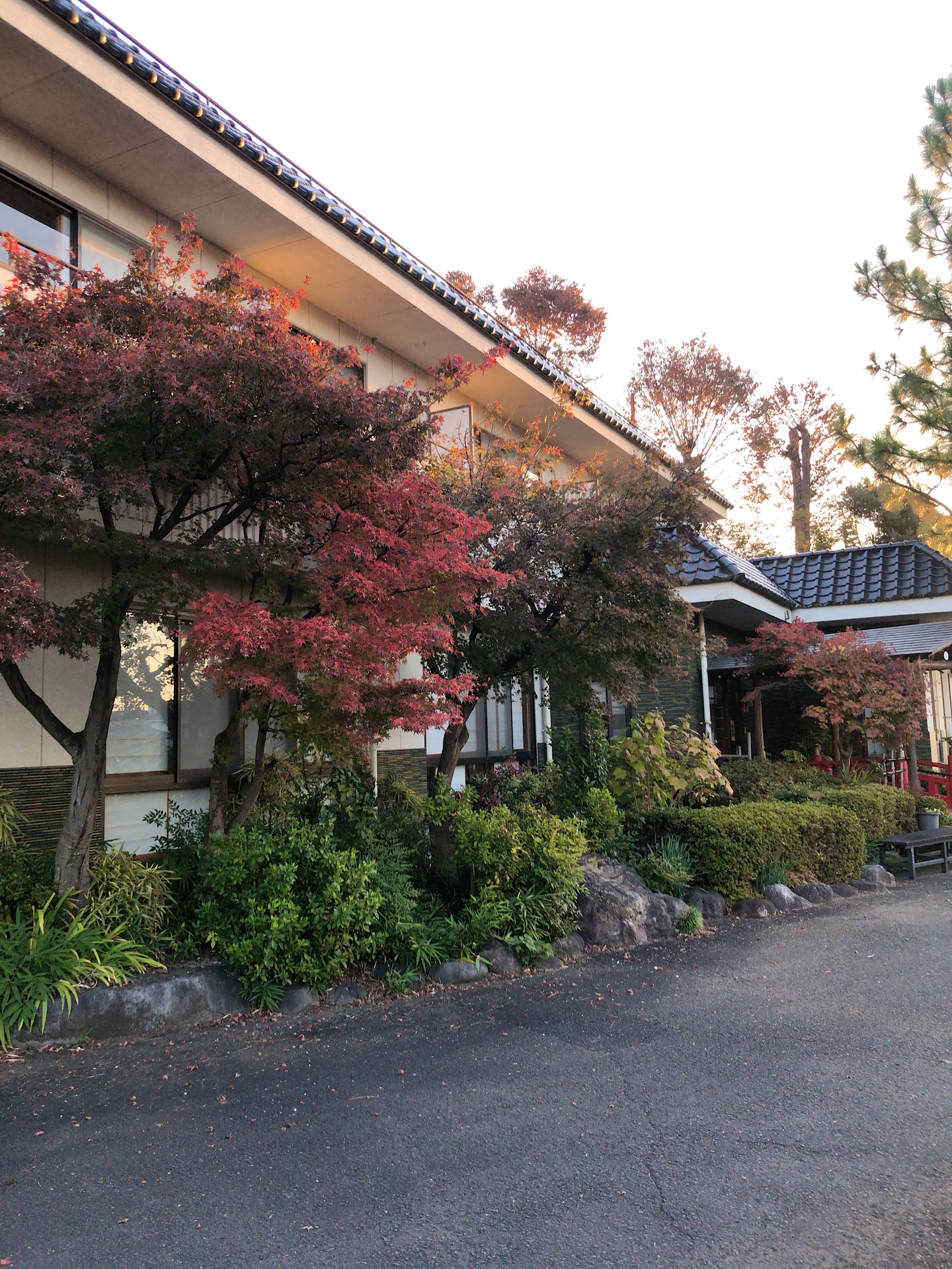 お宿 玉川苑 じゃらん料理口コミ評価満点 ﾟdﾟ 1泊2食5500円 珍安旅館 民宿 ペンション