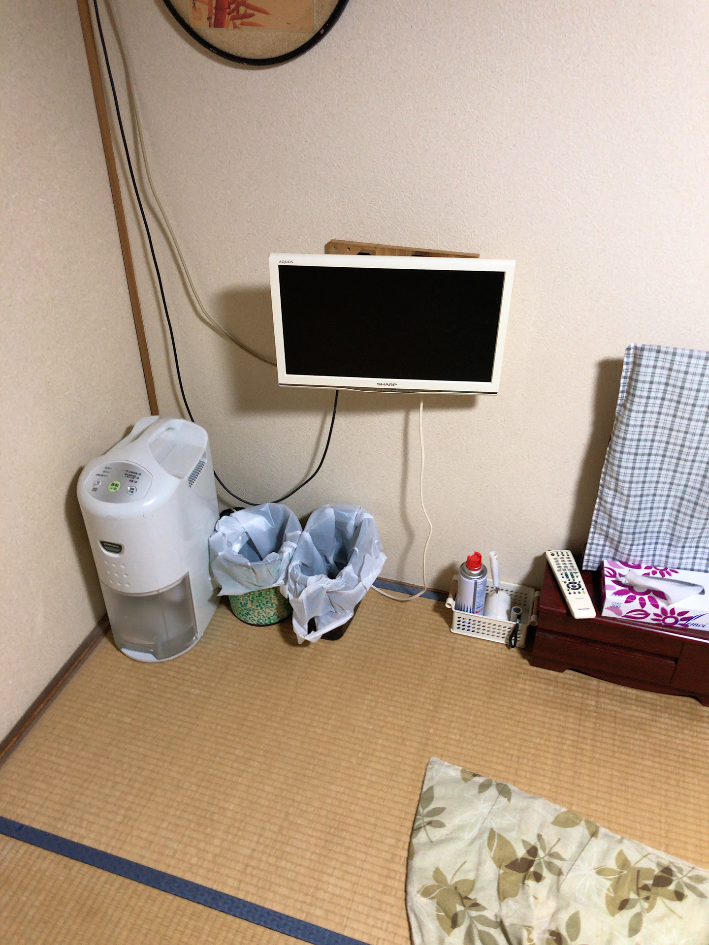 IMG_6236.JPG